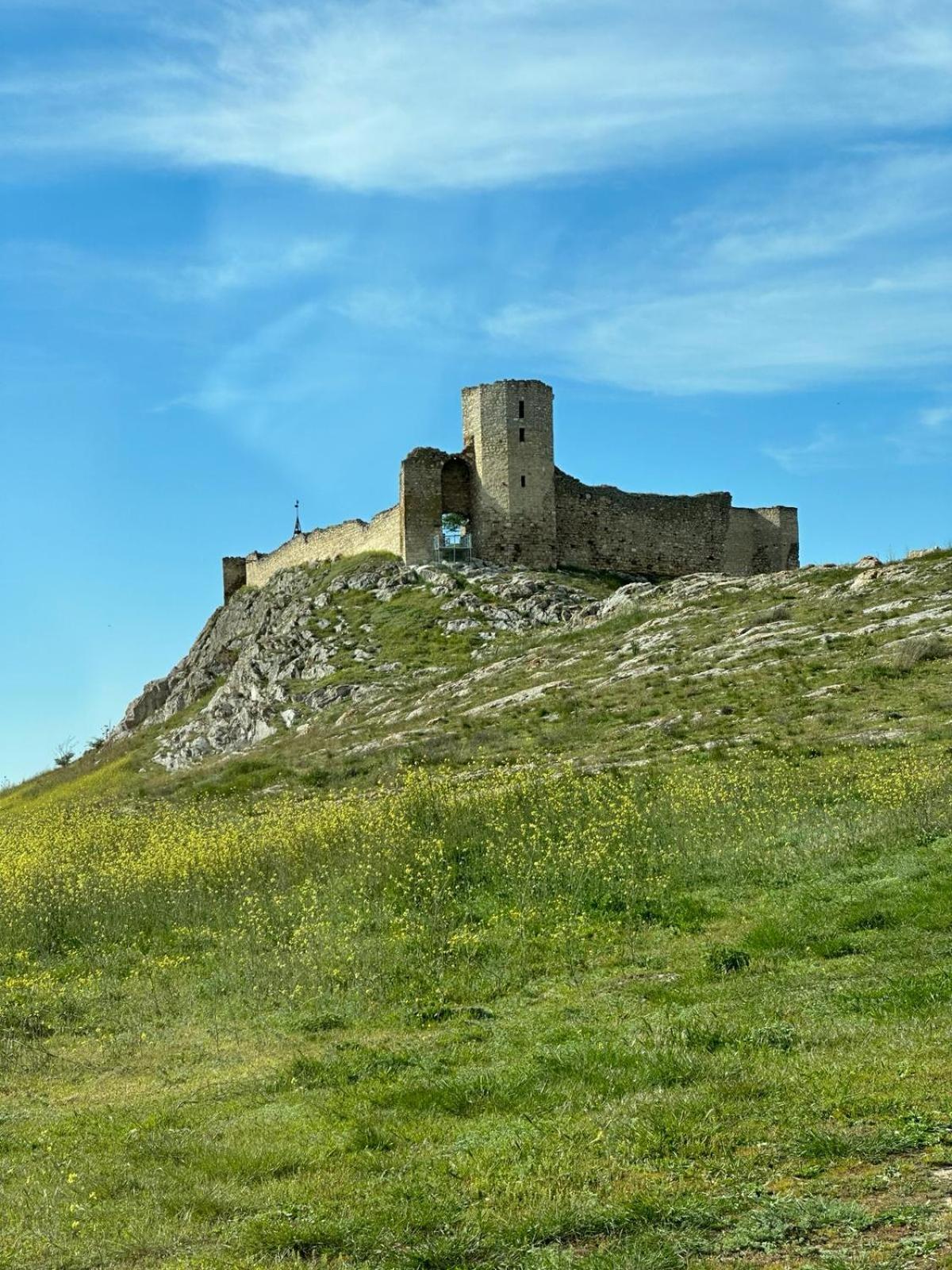 Photo 47