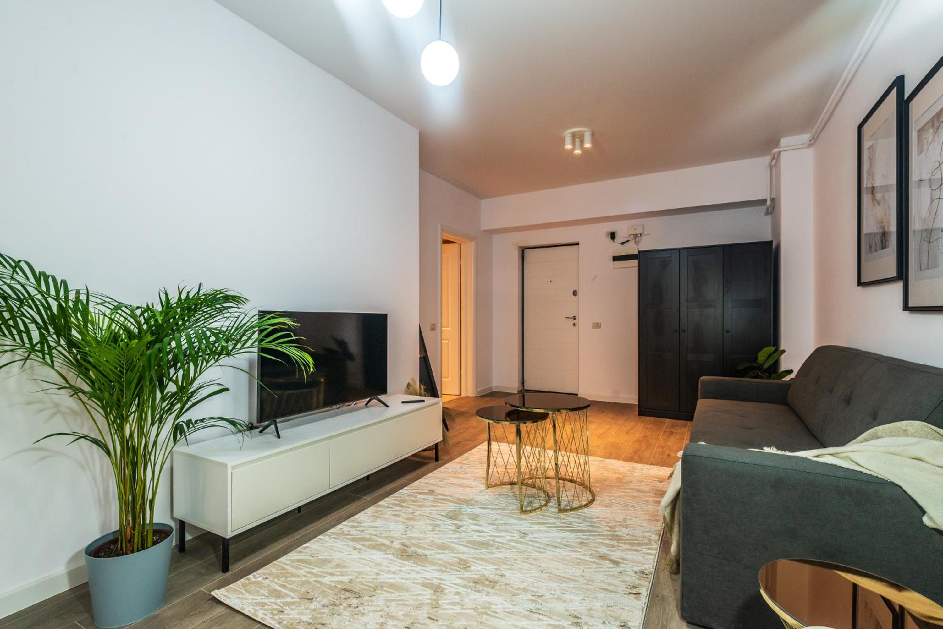 Central Residence Apartment 311 view 4