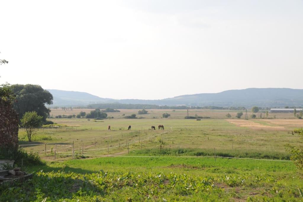 Naplemente a Káli medencében view 4