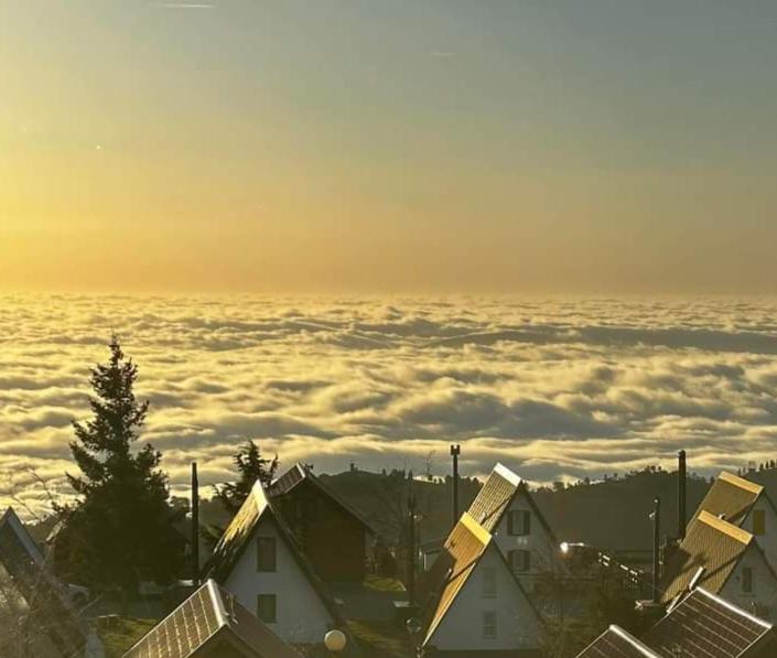 Chalé Zimbro, Serra da Estrela, Penhas da Saúde view 5