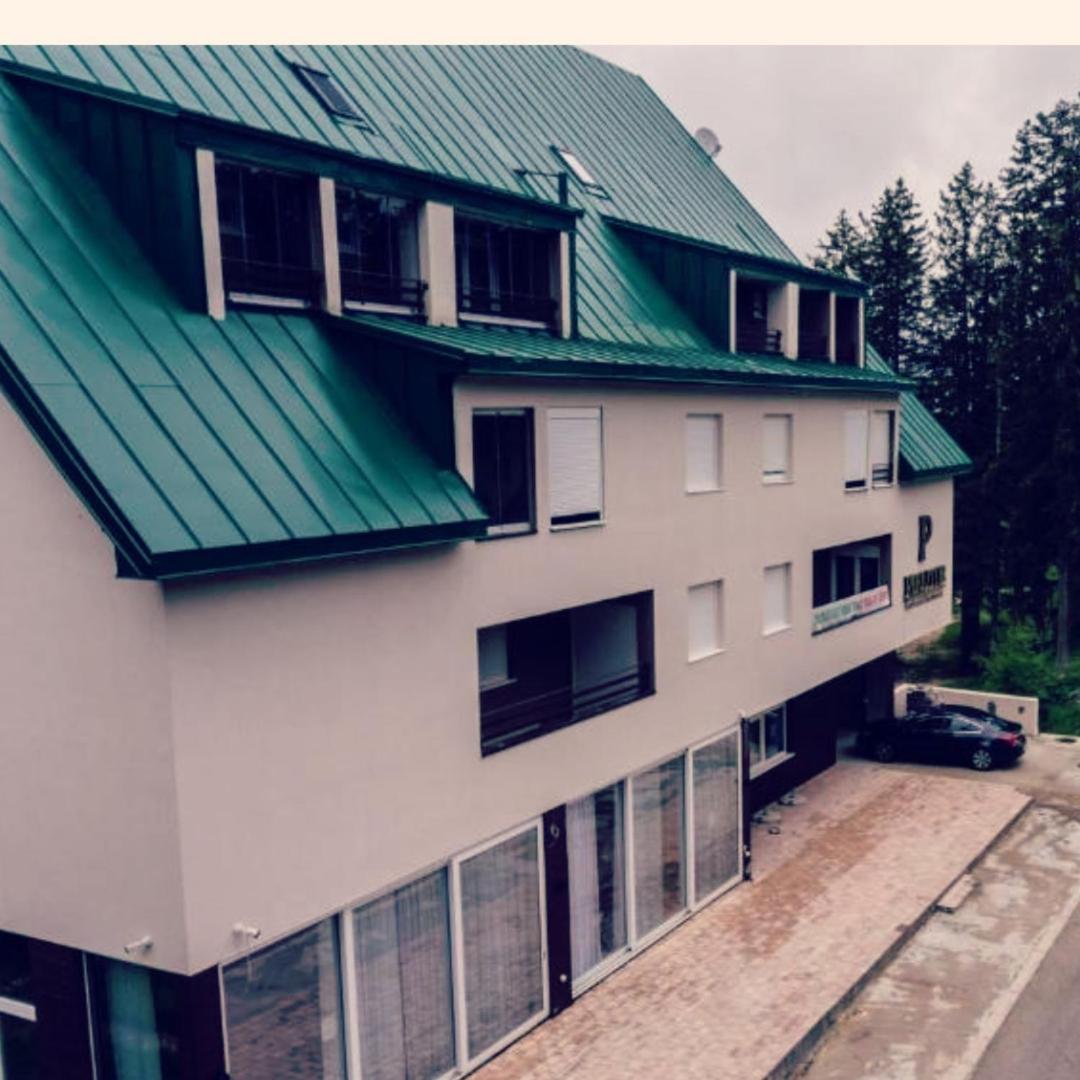 Bozovic Studio Apartman view 5