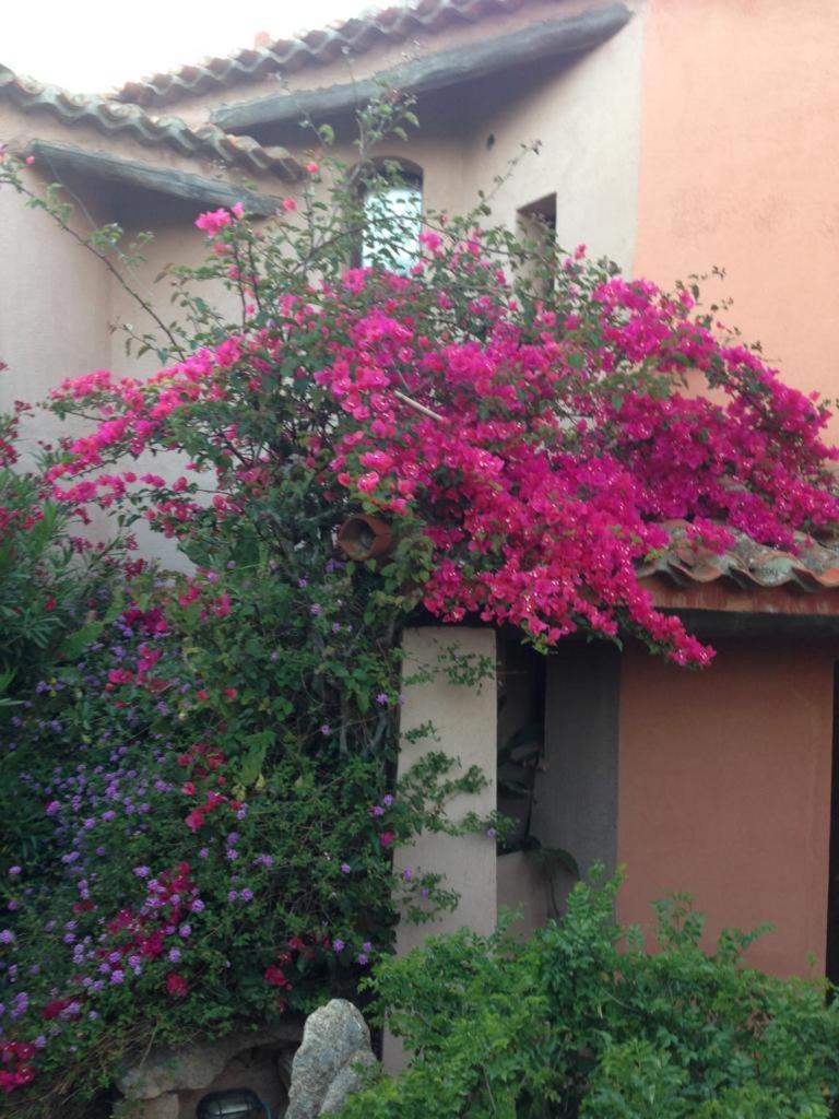Villa in Pantogia - Residence Pevero Hill - blocco B