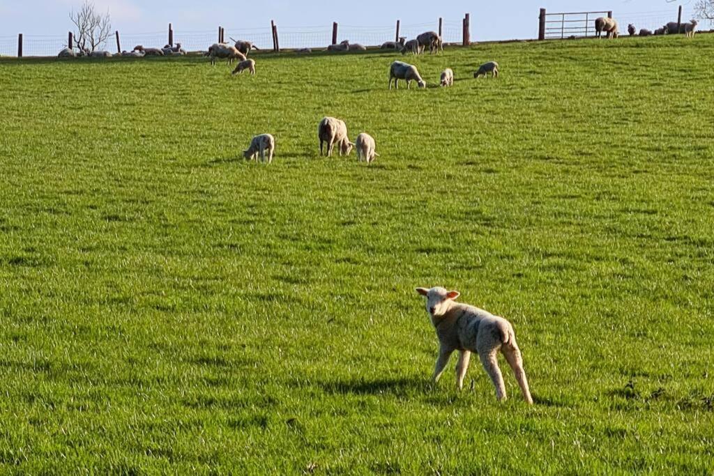 Wagtail Barn