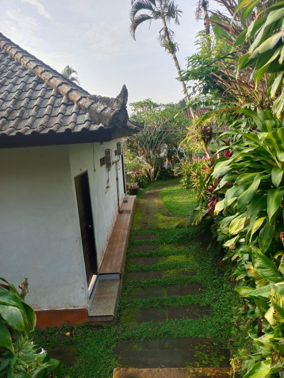 Suweden Homestay