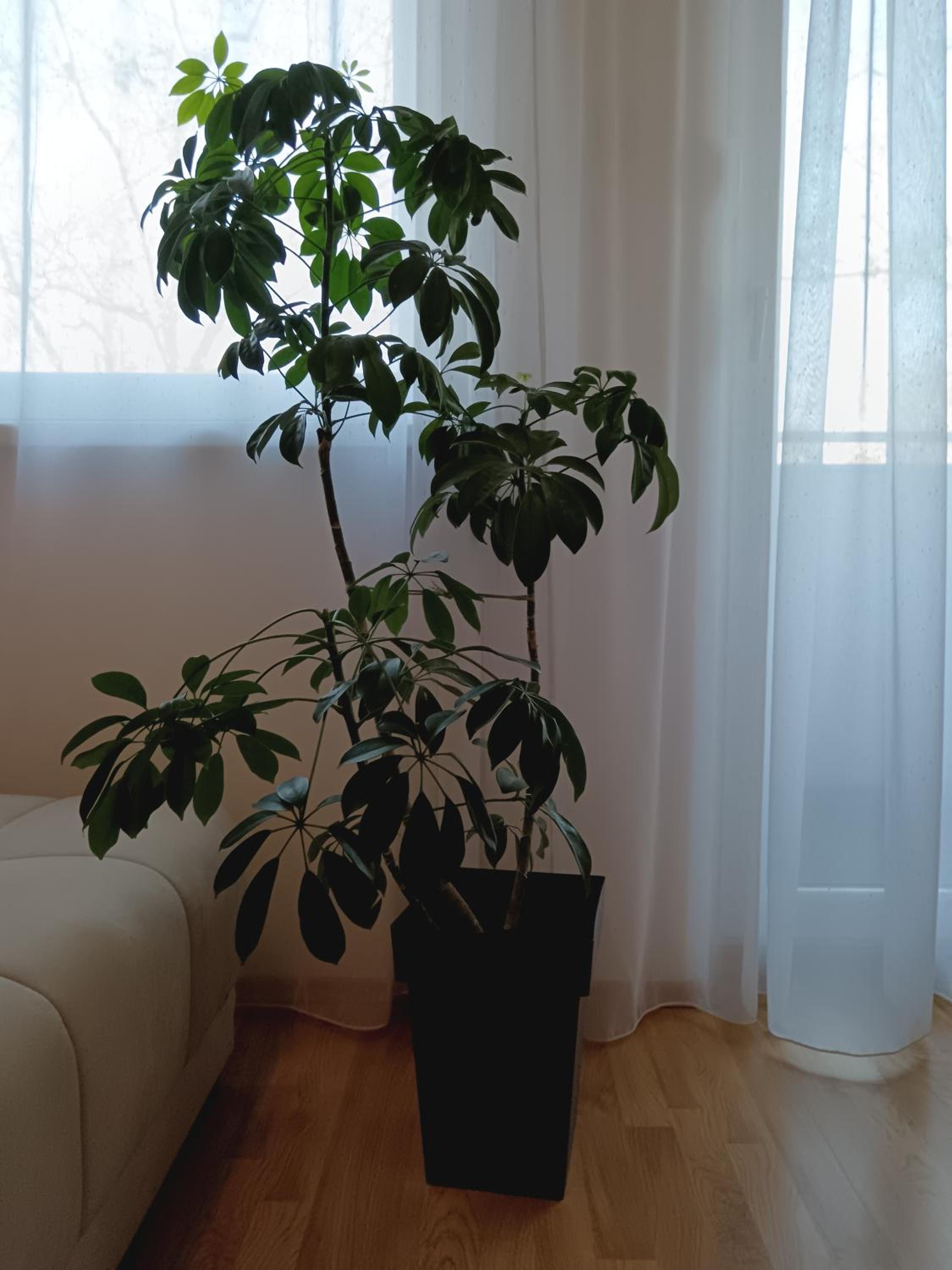 Alacaster apartment with PRIVATE PARKING