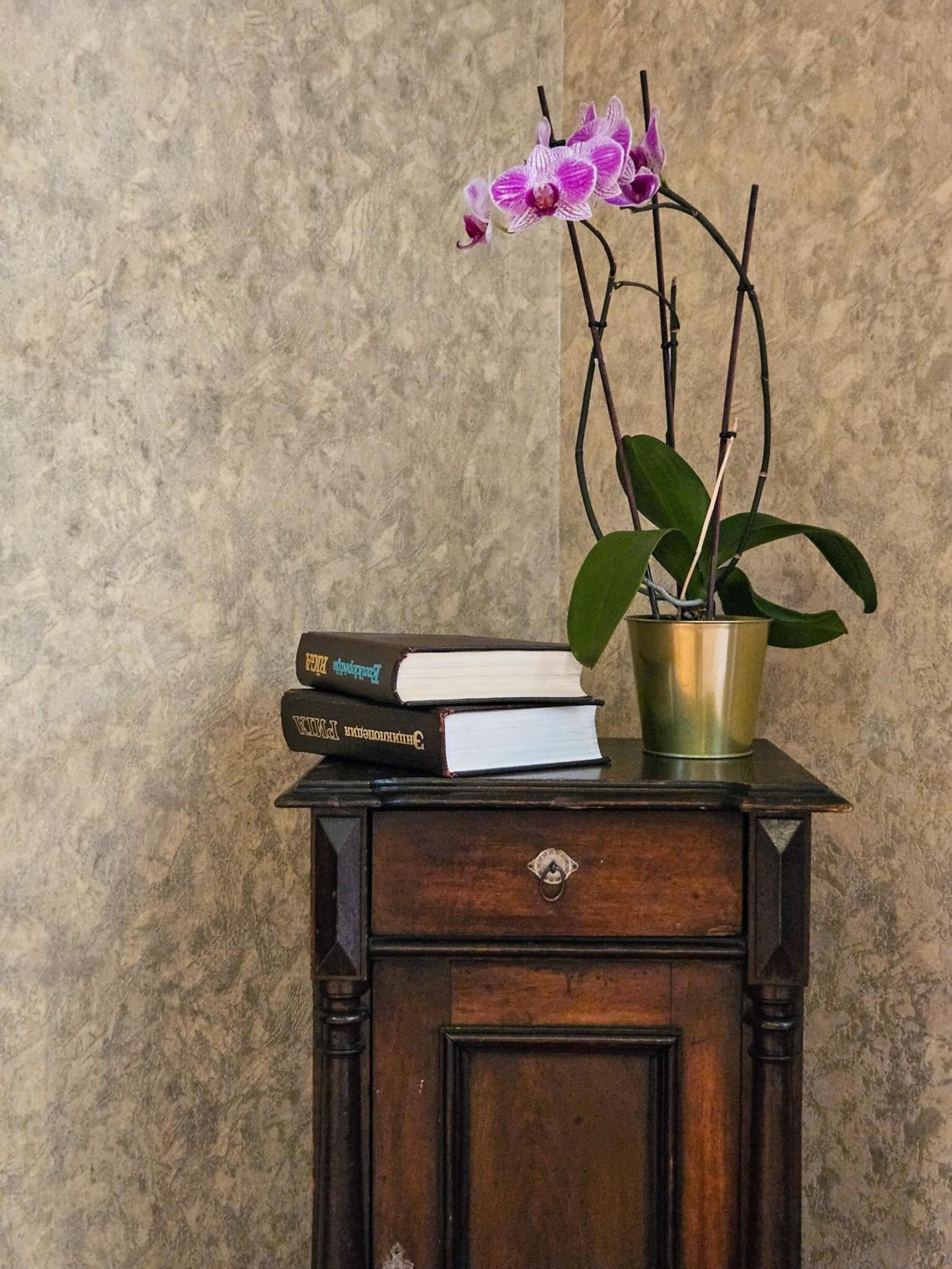 Muzeja apartamenti & Free Parking & Self Check-in view 5