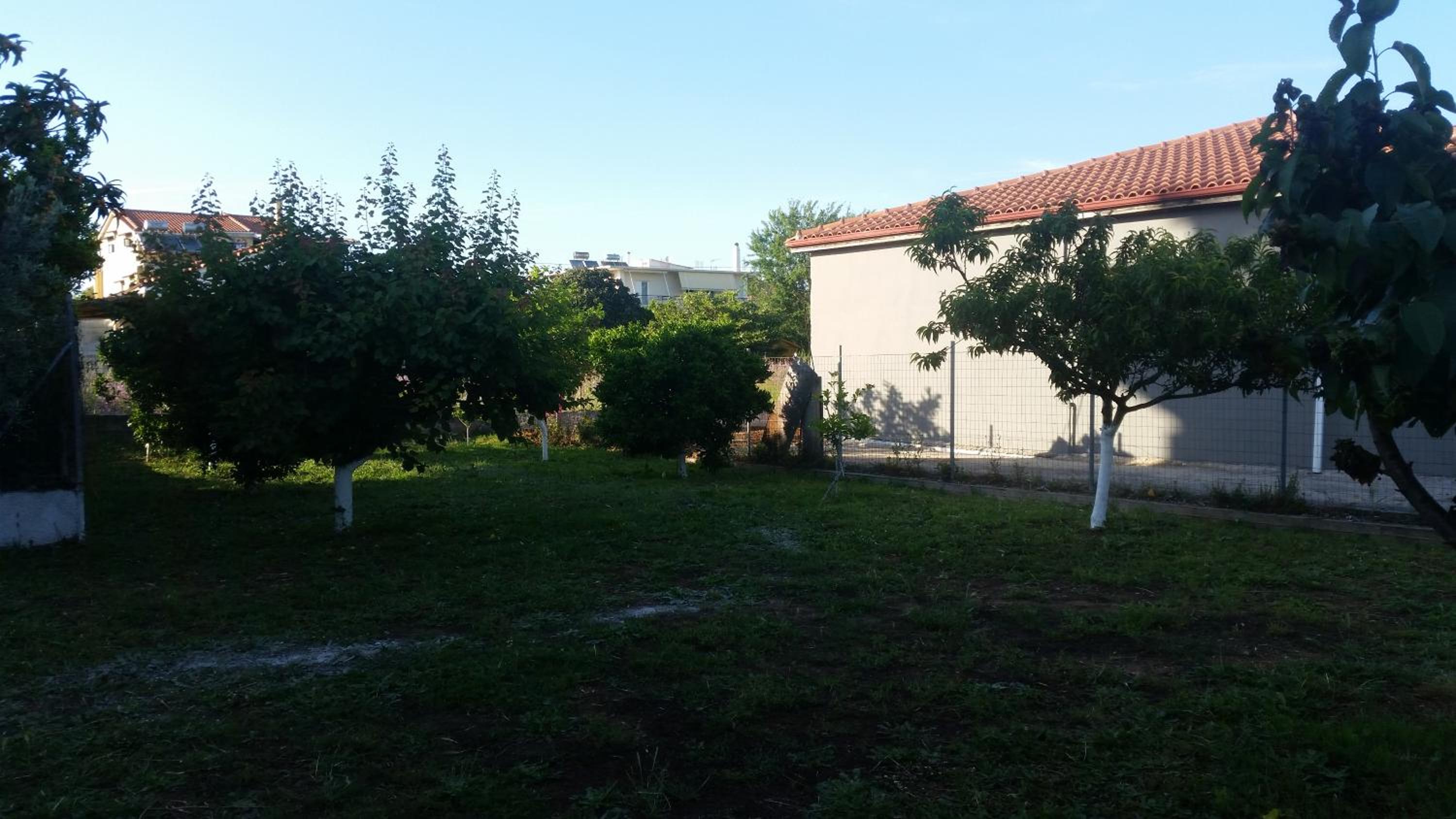 Photo 24