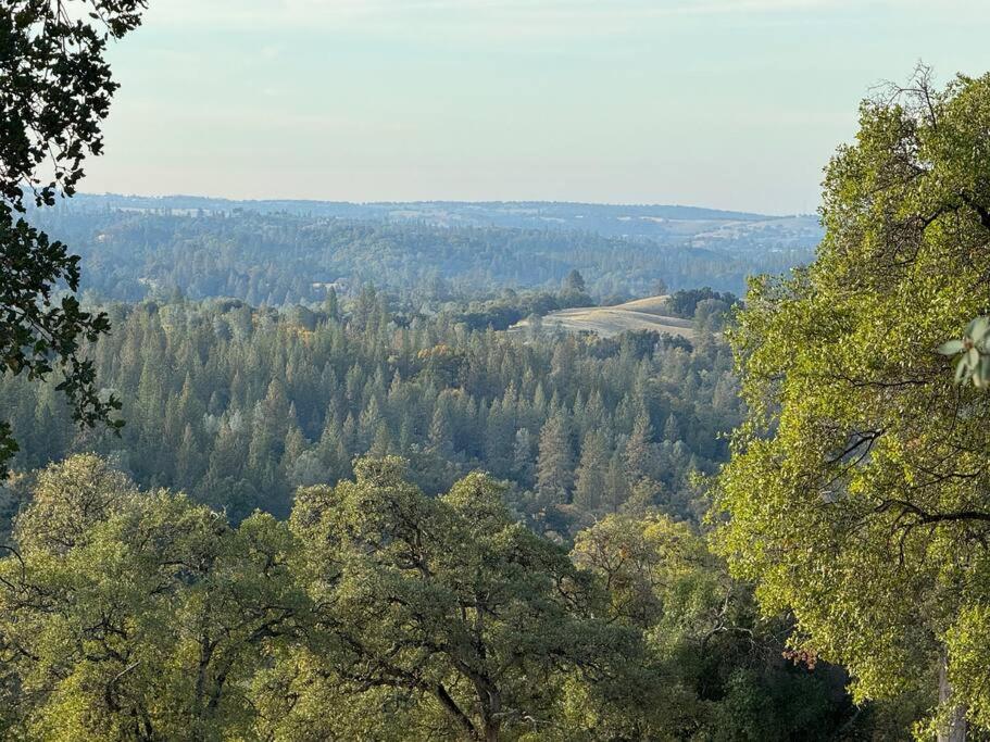 The Fiddletown Vineyard Retreat