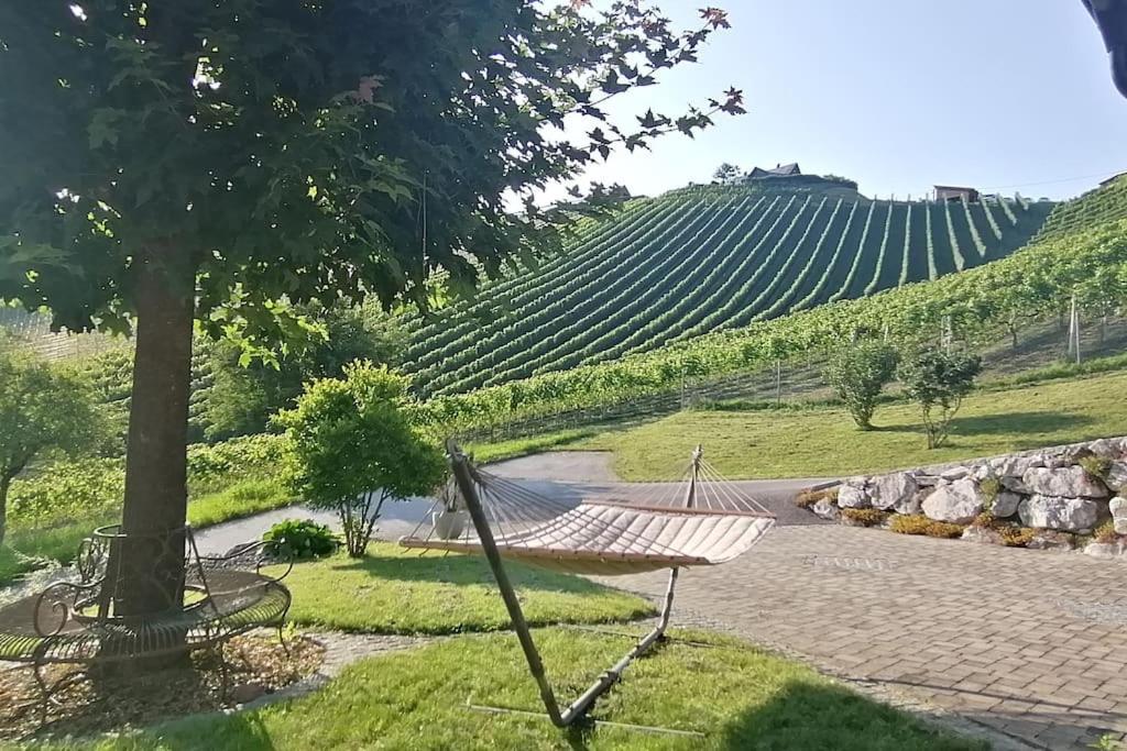 Naturjuwel inmitten der Weinberge