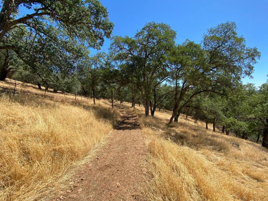 The Fiddletown Vineyard Retreat