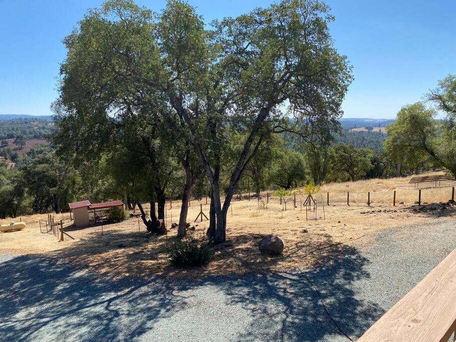 The Fiddletown Vineyard Retreat