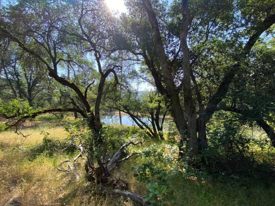 The Fiddletown Vineyard Retreat