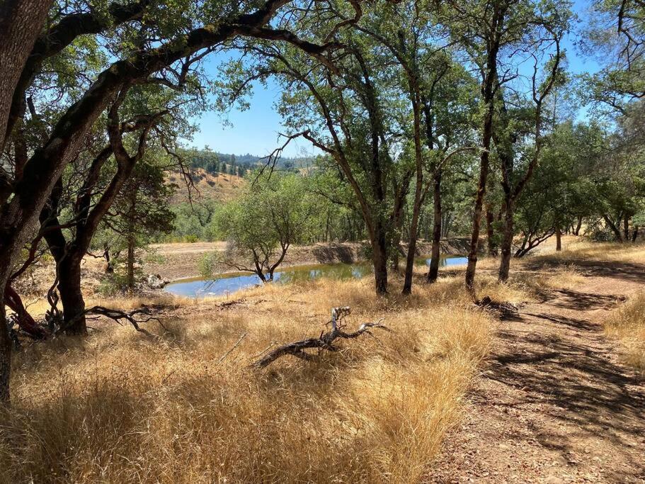 The Fiddletown Vineyard Retreat