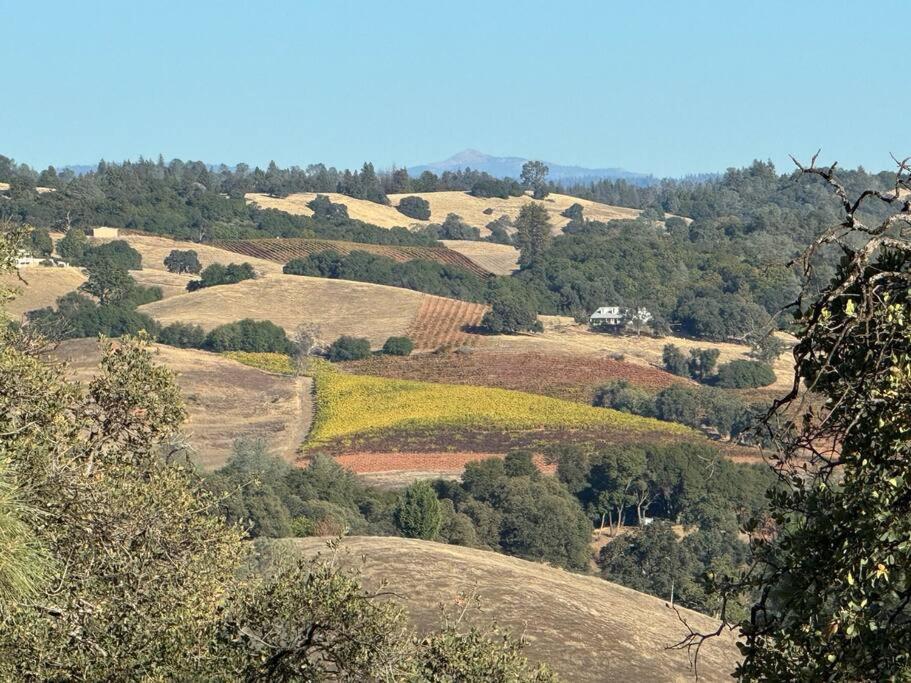 The Fiddletown Vineyard Retreat