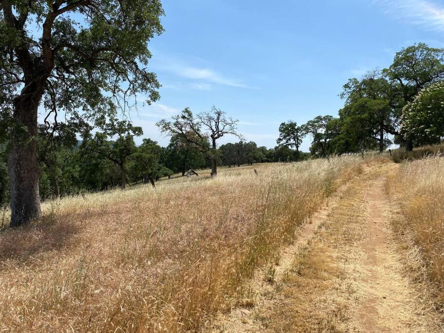 The Fiddletown Vineyard Retreat