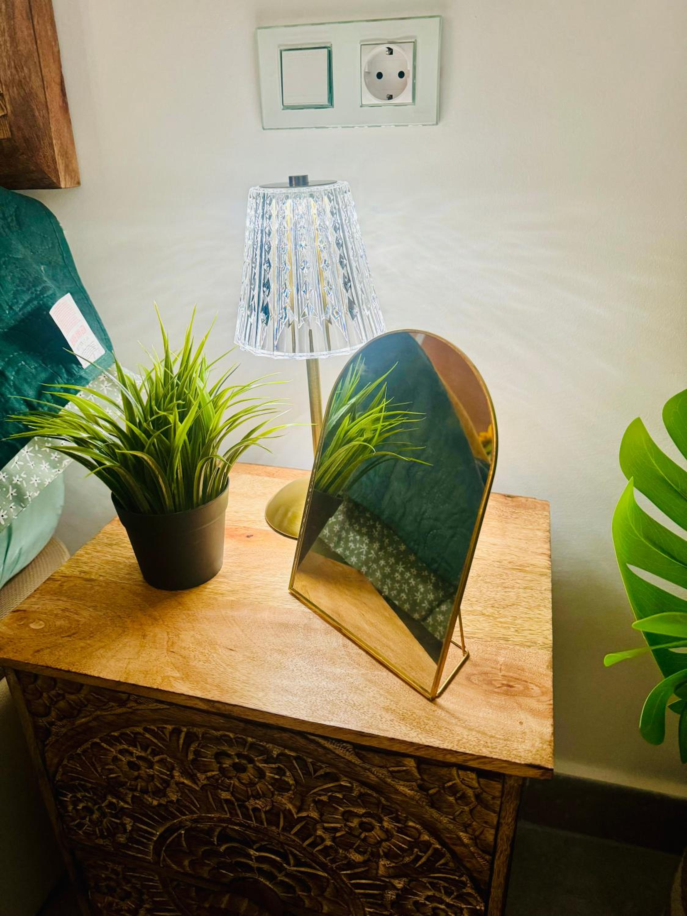 Los girasoles de Veneziola