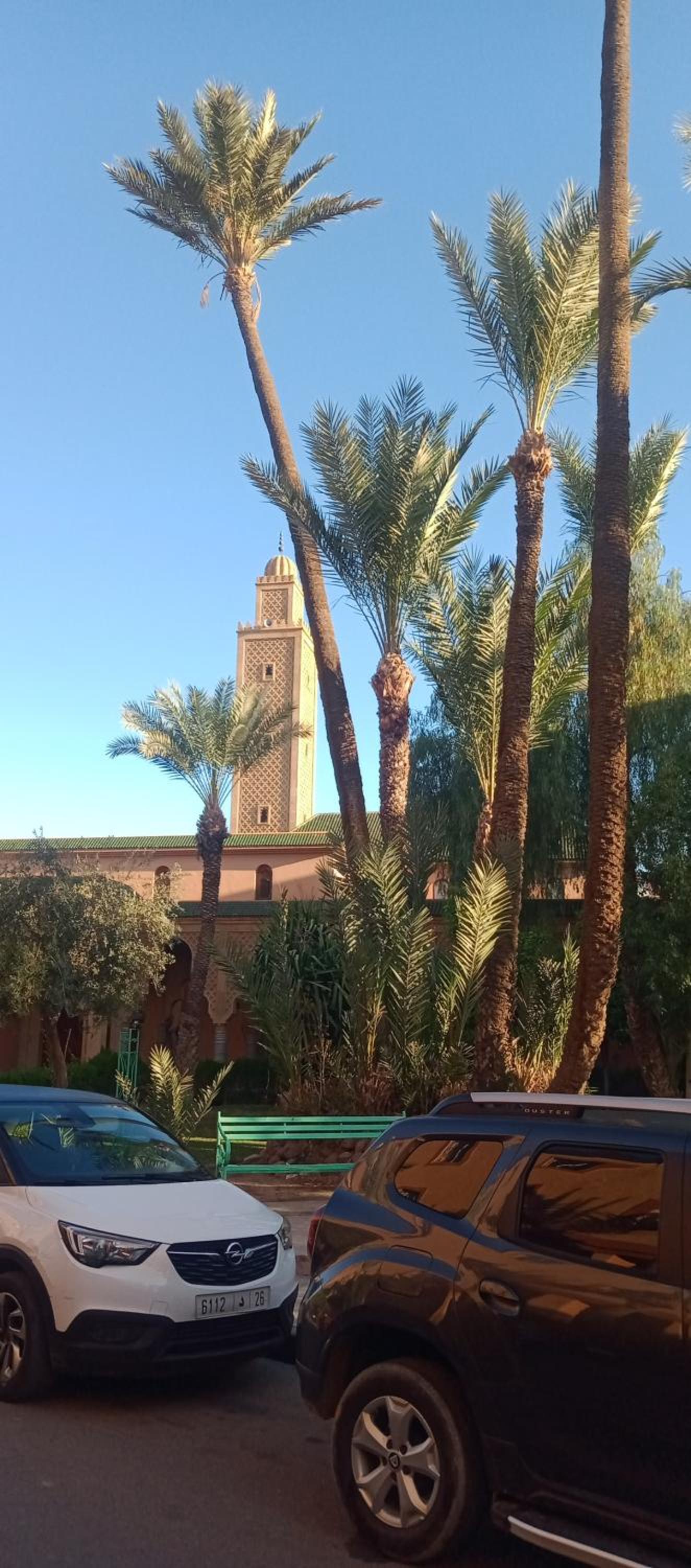 Photo 25