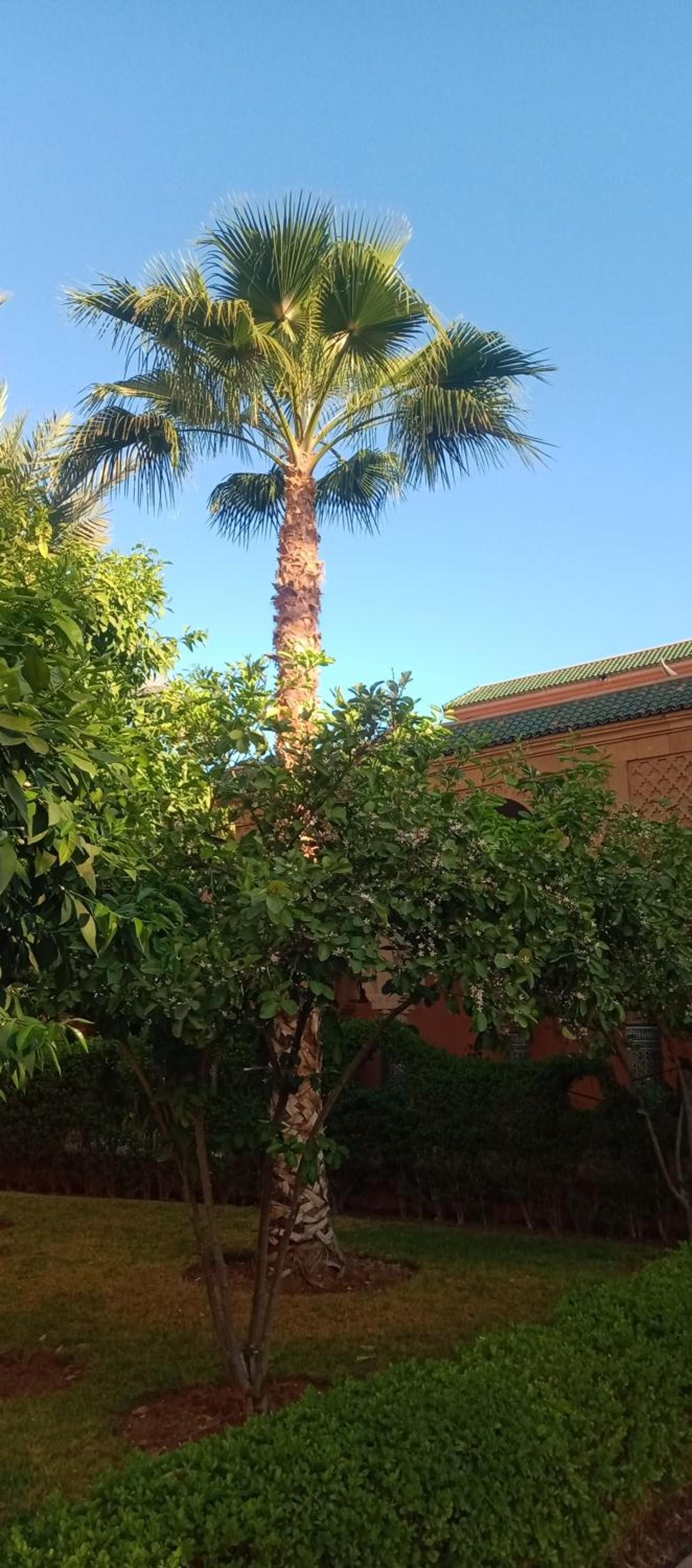 Photo 47