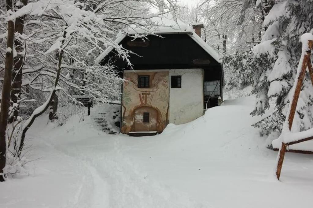 Photo 15