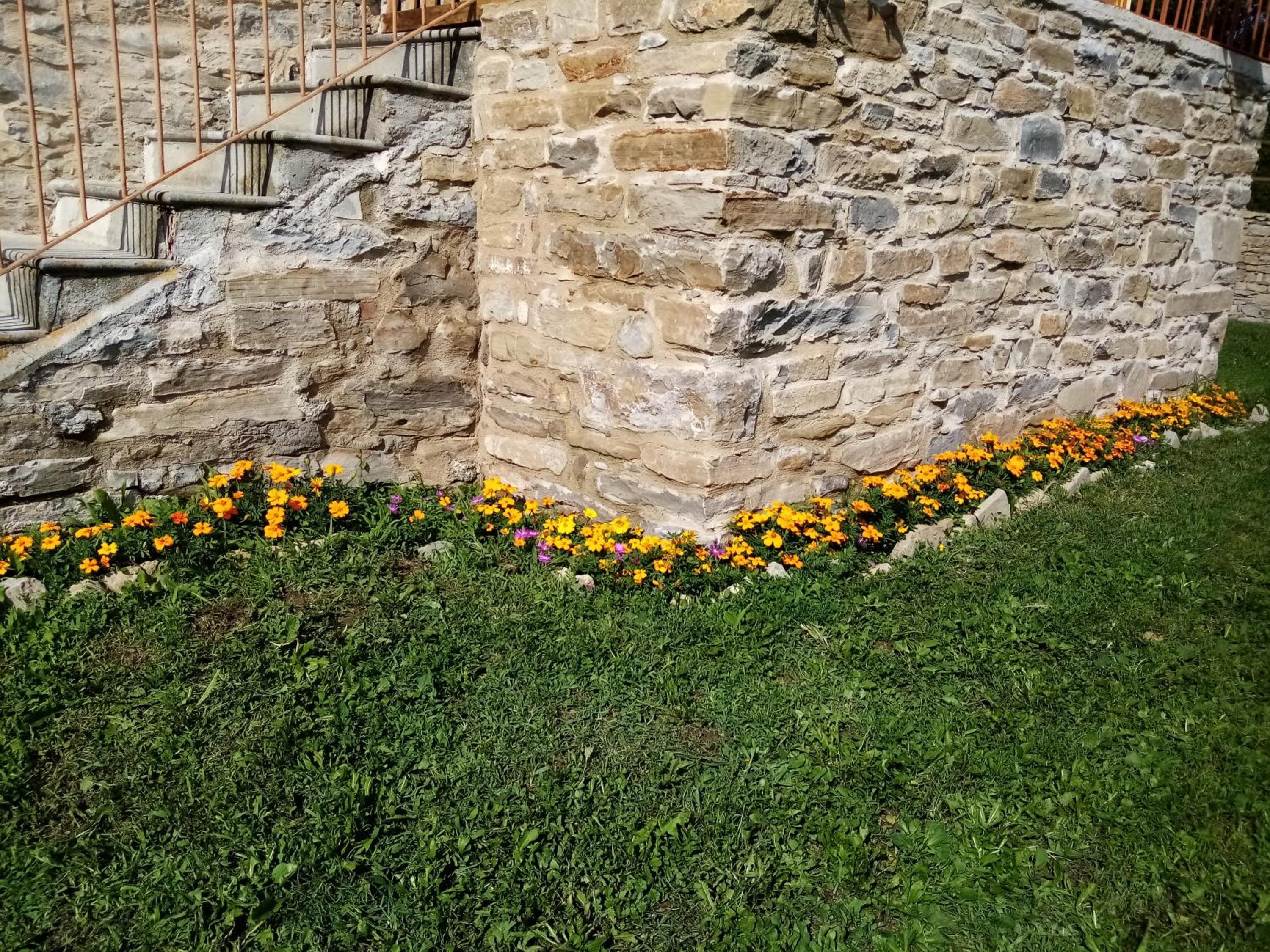 Photo 46