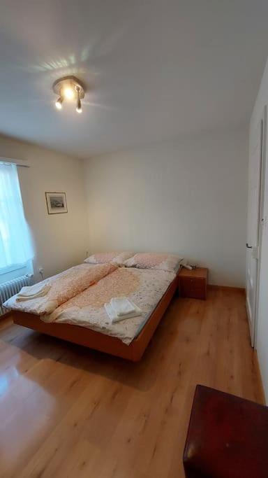 Renovierte 4,5-Zi-Wohnung mit Parkplatz in ruhiger Lage - 90m2