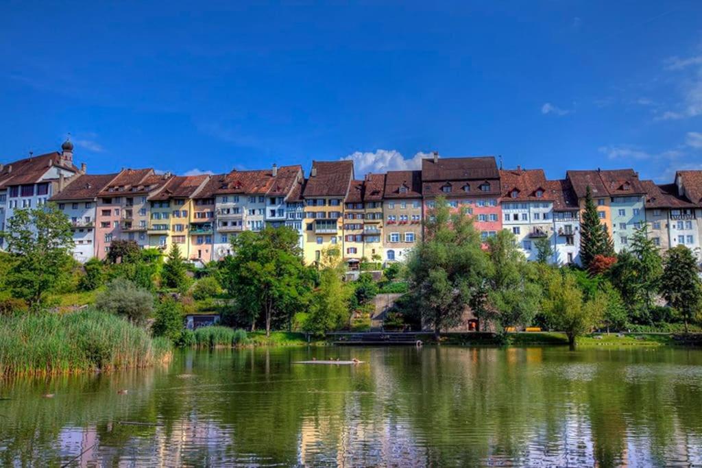 Renovierte 4,5-Zi-Wohnung mit Parkplatz in ruhiger Lage - 90m2