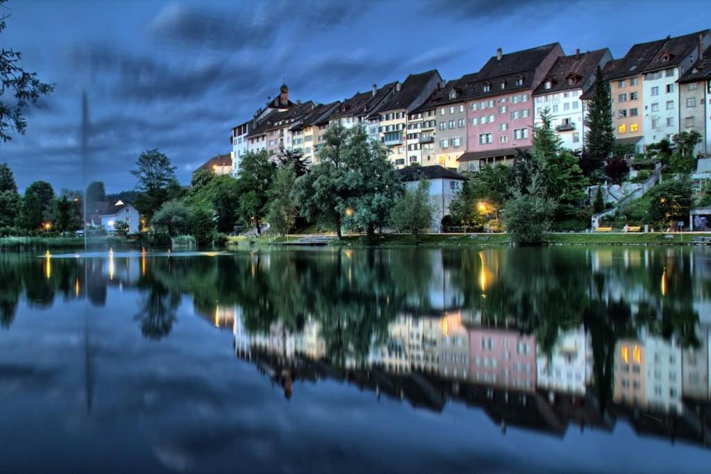 Renovierte 4,5-Zi-Wohnung mit Parkplatz in ruhiger Lage - 90m2