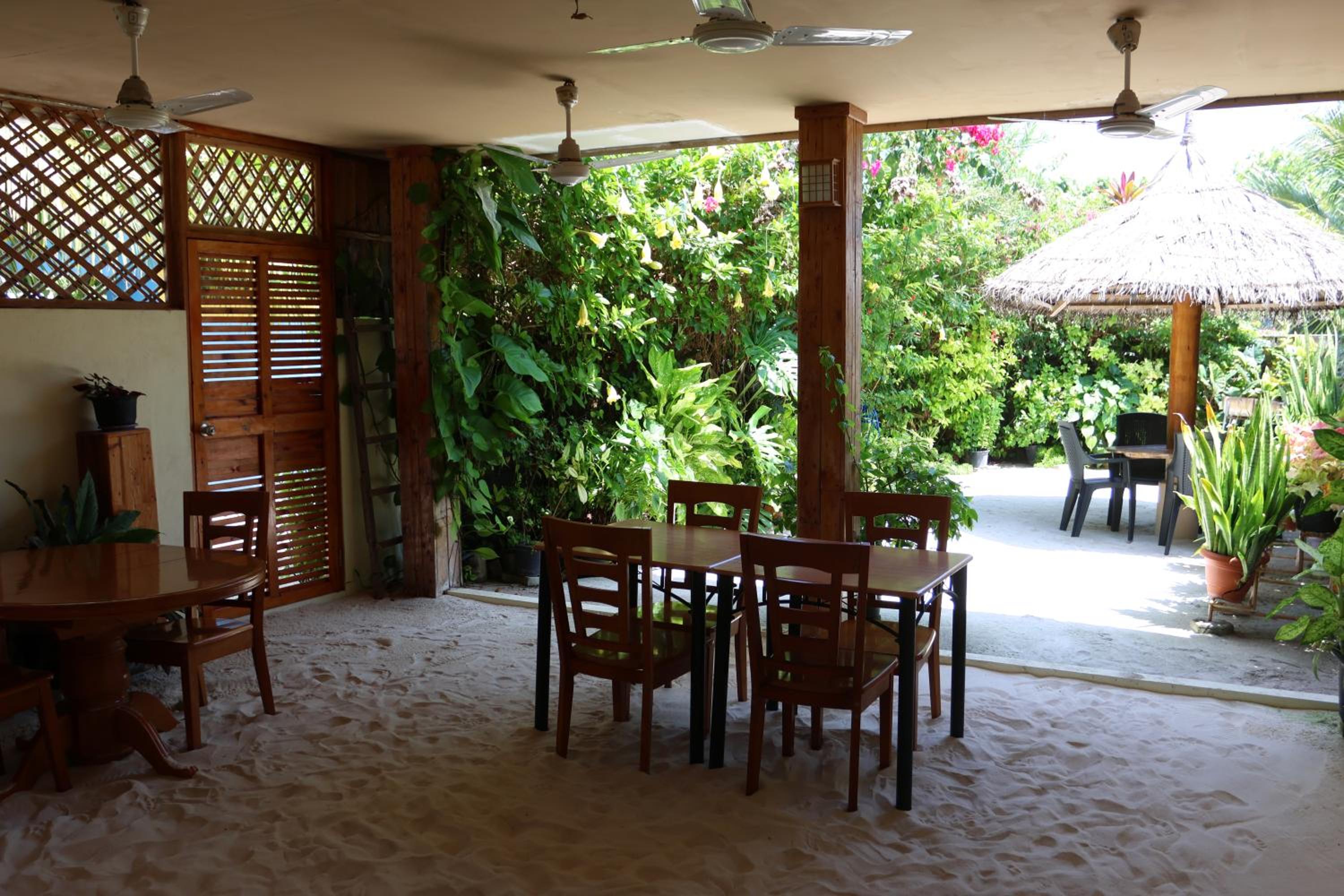 Hanifaru Transit Inn