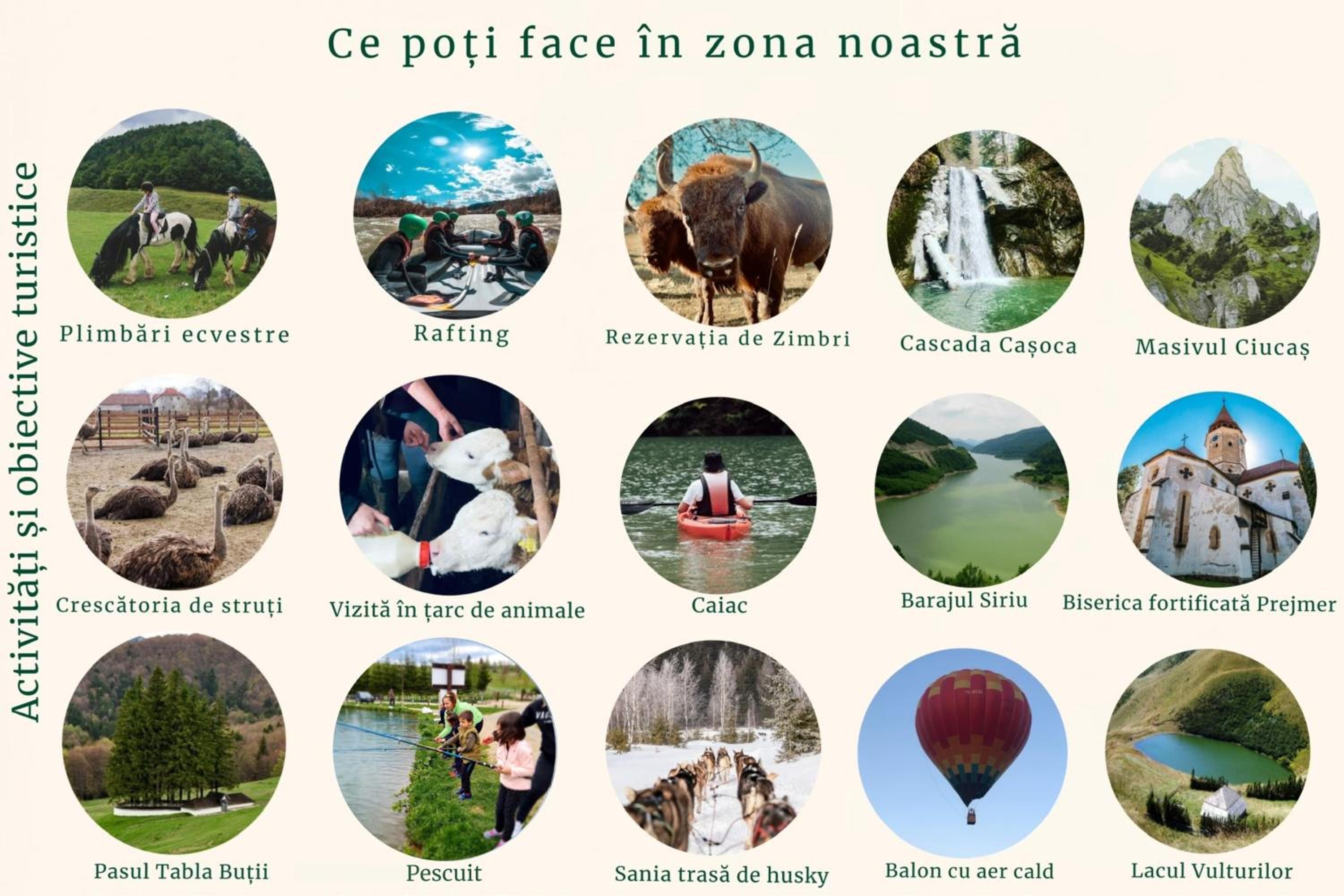 Glamping Iurte Mongole Spiritul Zimbrului