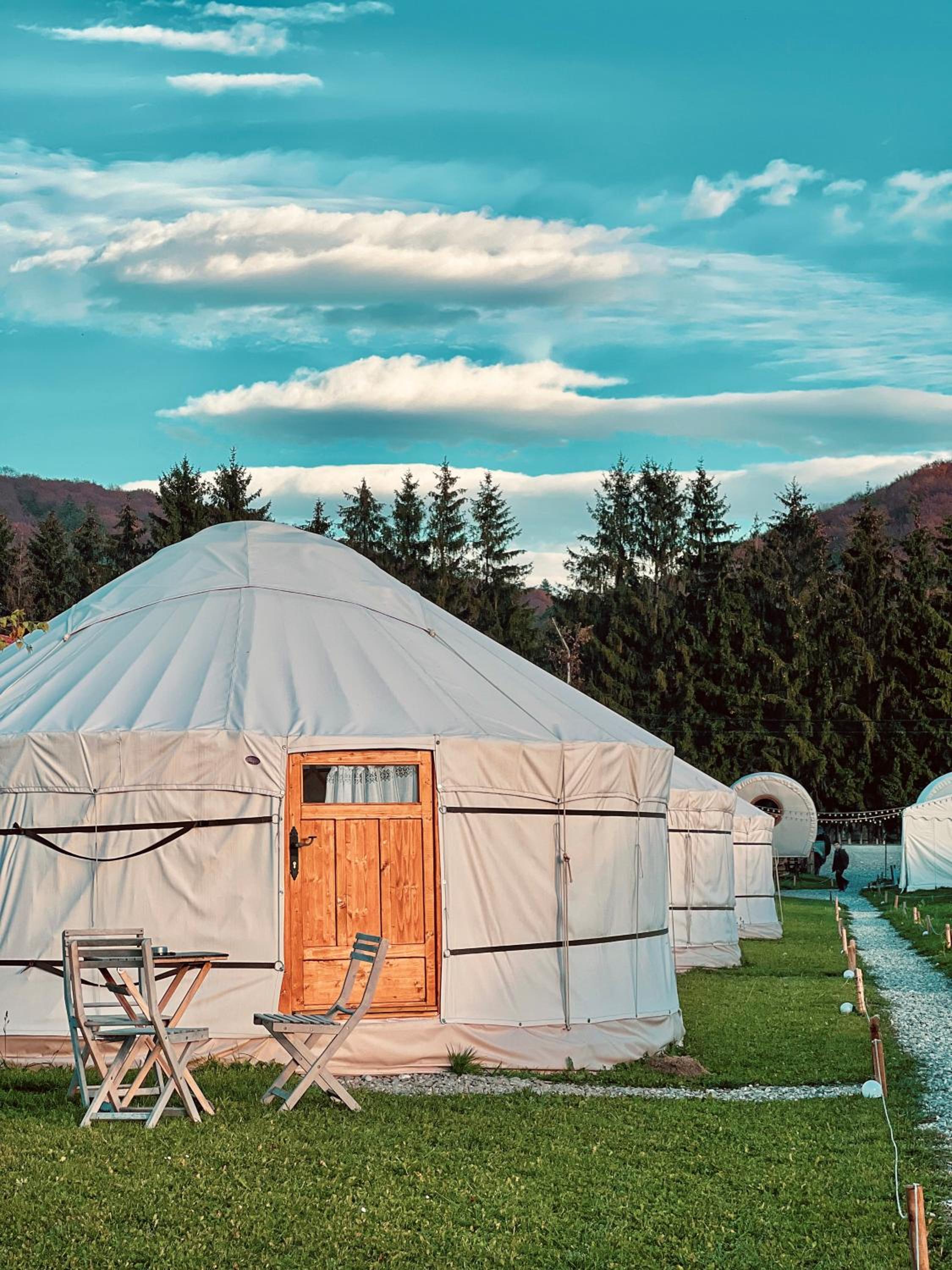 Glamping Iurte Mongole Spiritul Zimbrului