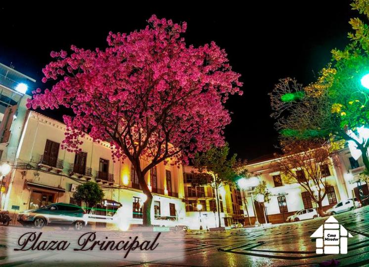 Departamento Rustico 1