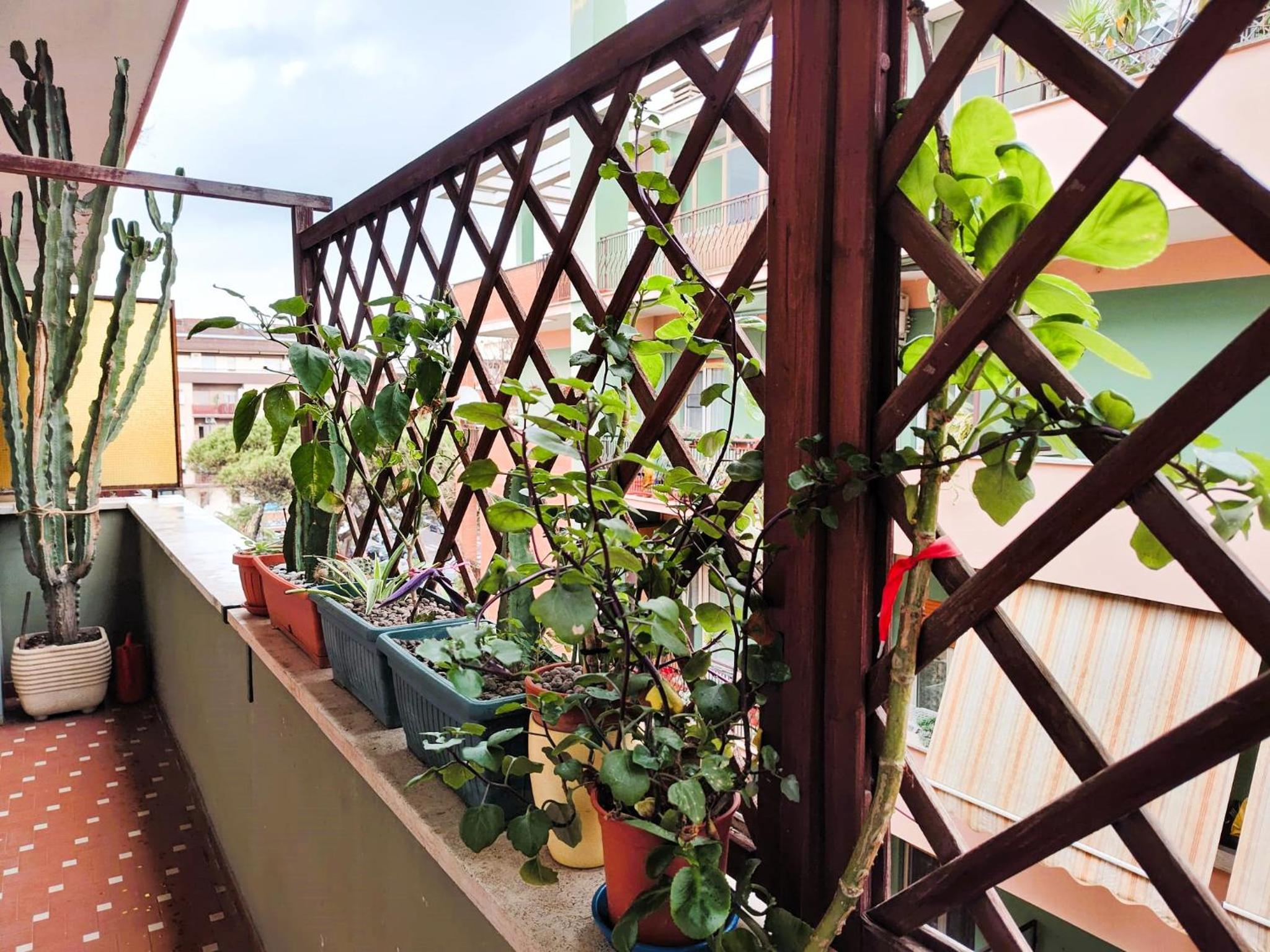 Euforbia House photo 5