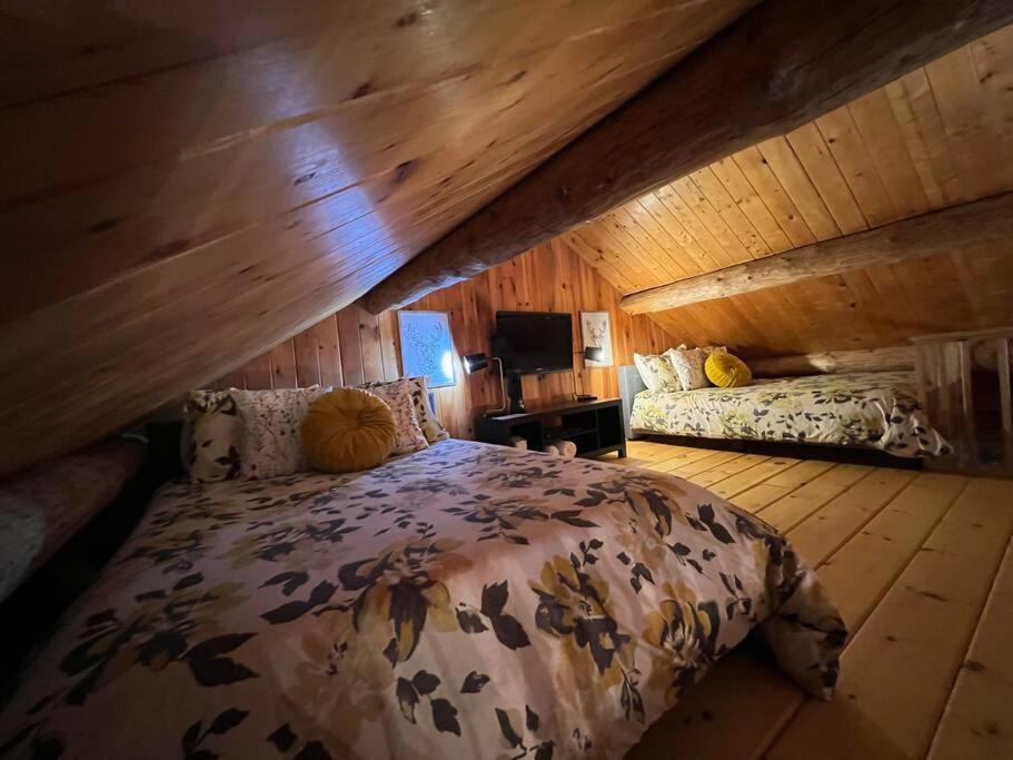 Chalets Terre De l’Orme with Spa tucked away in nature