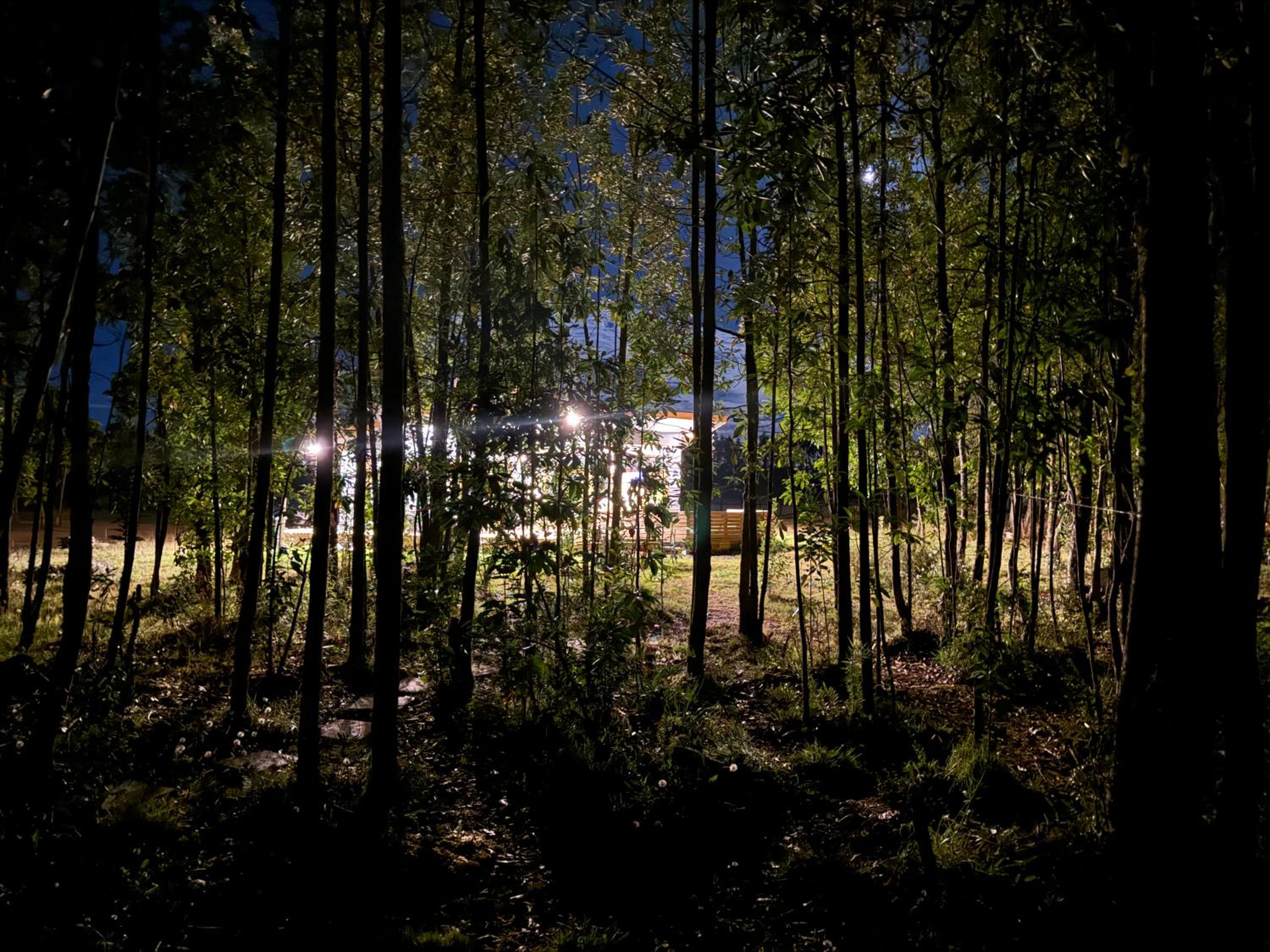 Casa en el bosque-tinaja