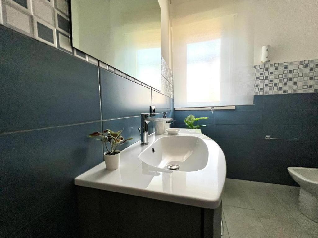Medea home