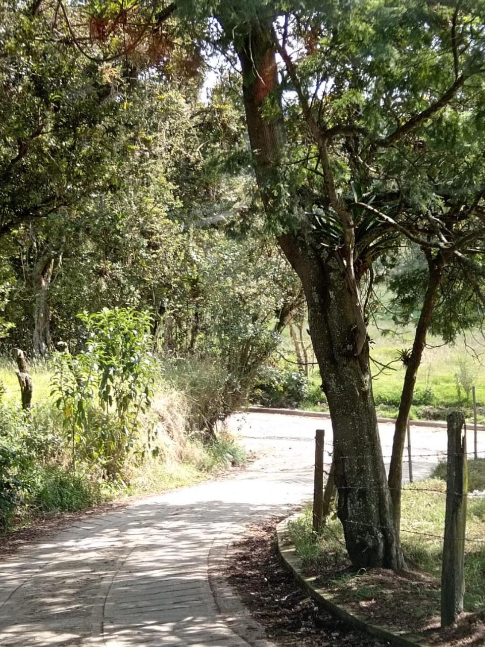 Finca Severo Refugio