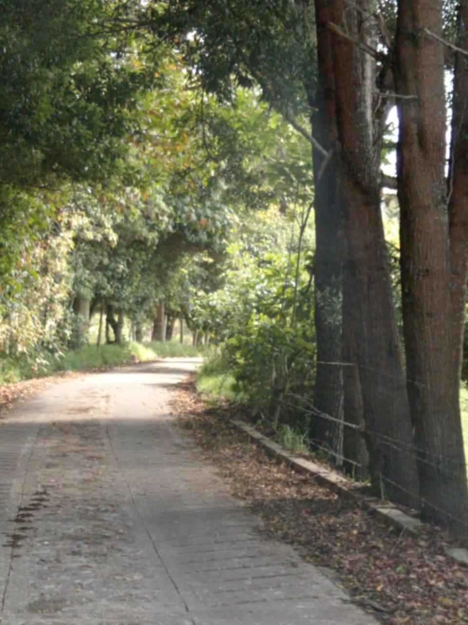 Finca Severo Refugio
