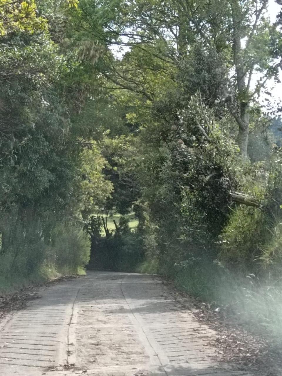 Finca Severo Refugio