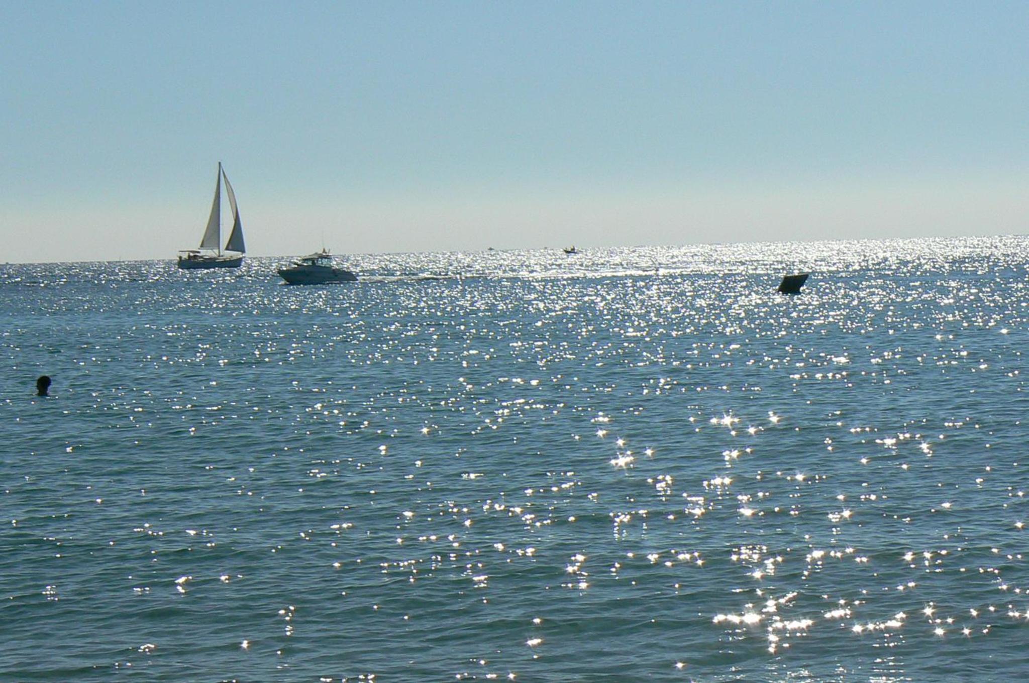 Photo 50