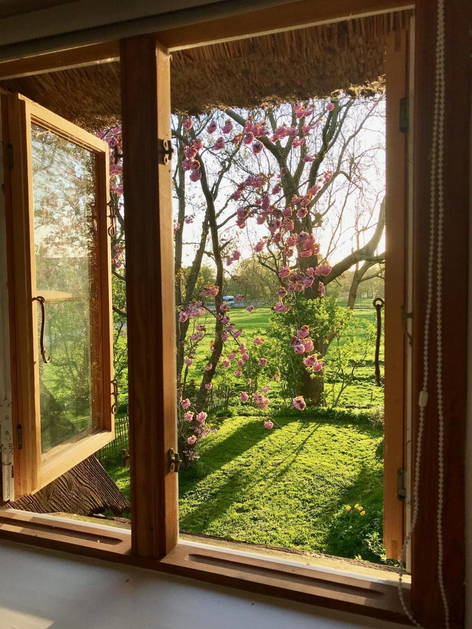 Dachgeschosswohnung Warft Simmerdeis in Reetdachhaus mit parkähnlichem Garten