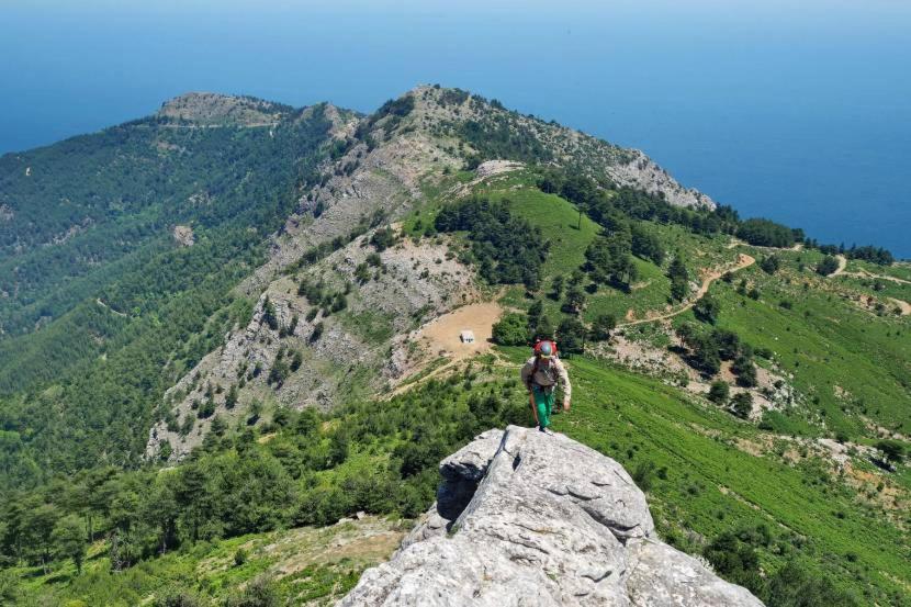 KTIMA ALEXANDROS