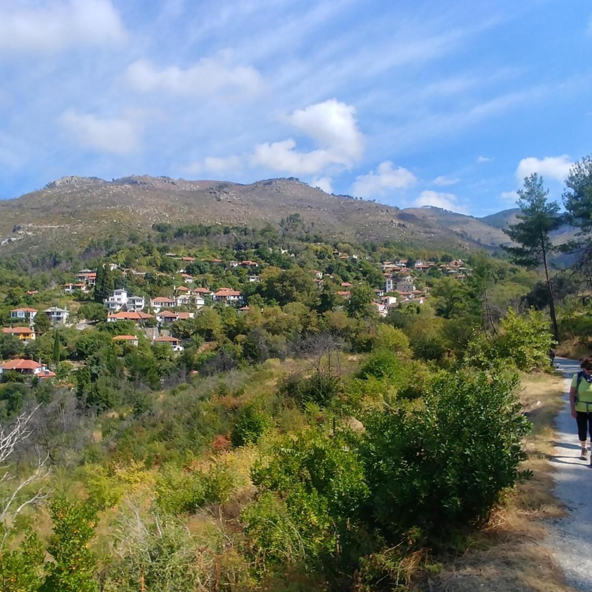 KTIMA ALEXANDROS
