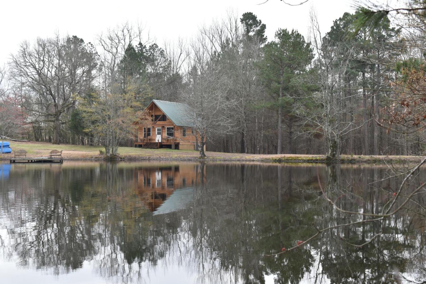 Luxury Cabin with Fishing Pond-Hot Springs view 5
