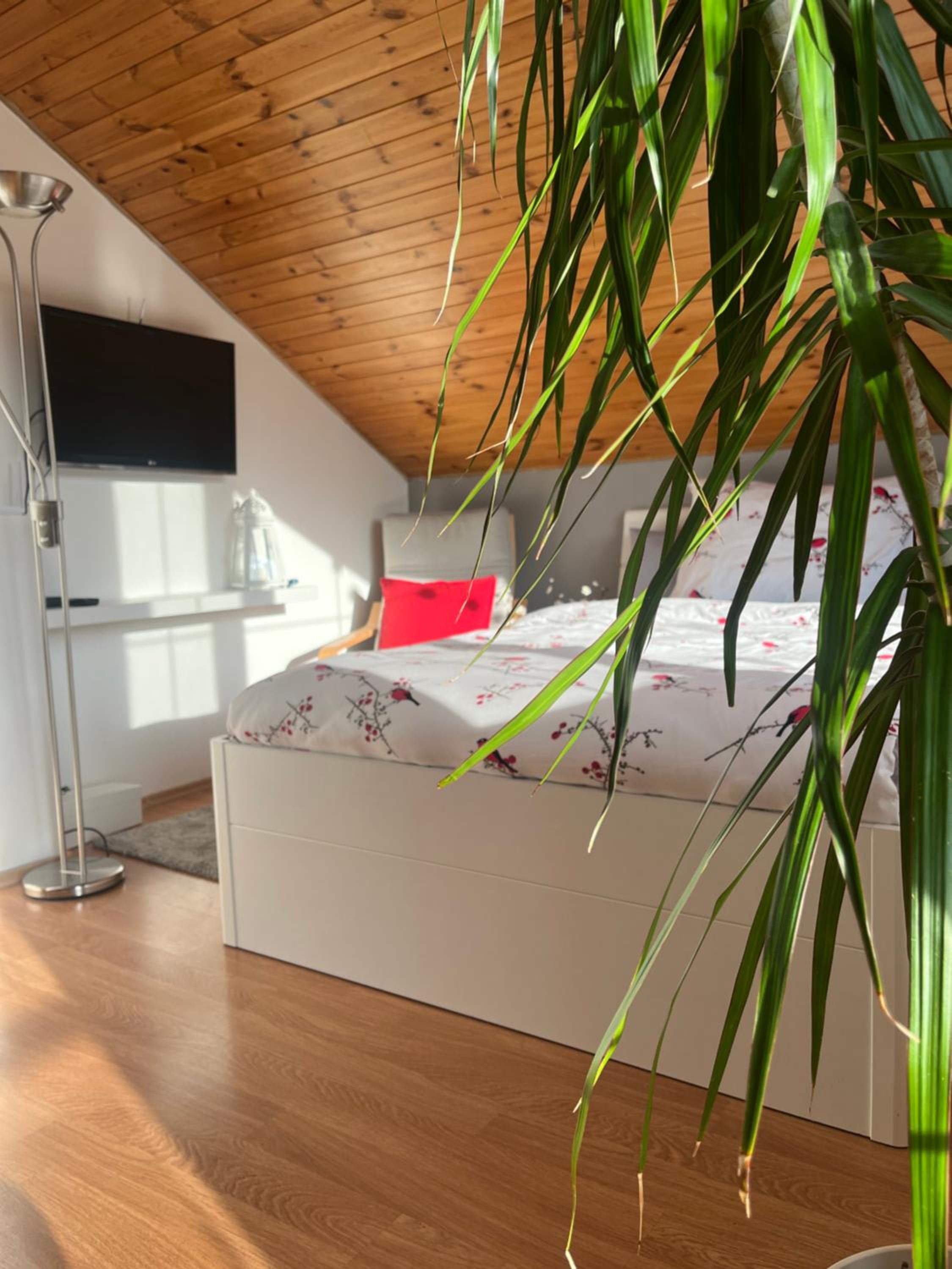 Podkrovní apartmán s balkónem