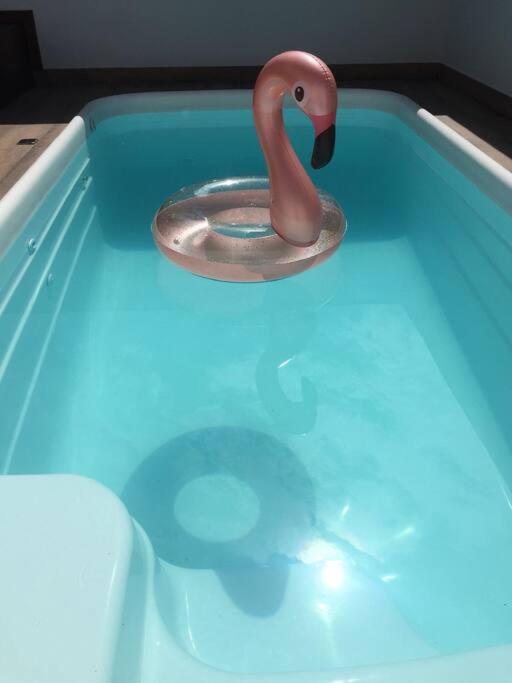 Sobrado com piscina, banheira e garagem coberta.