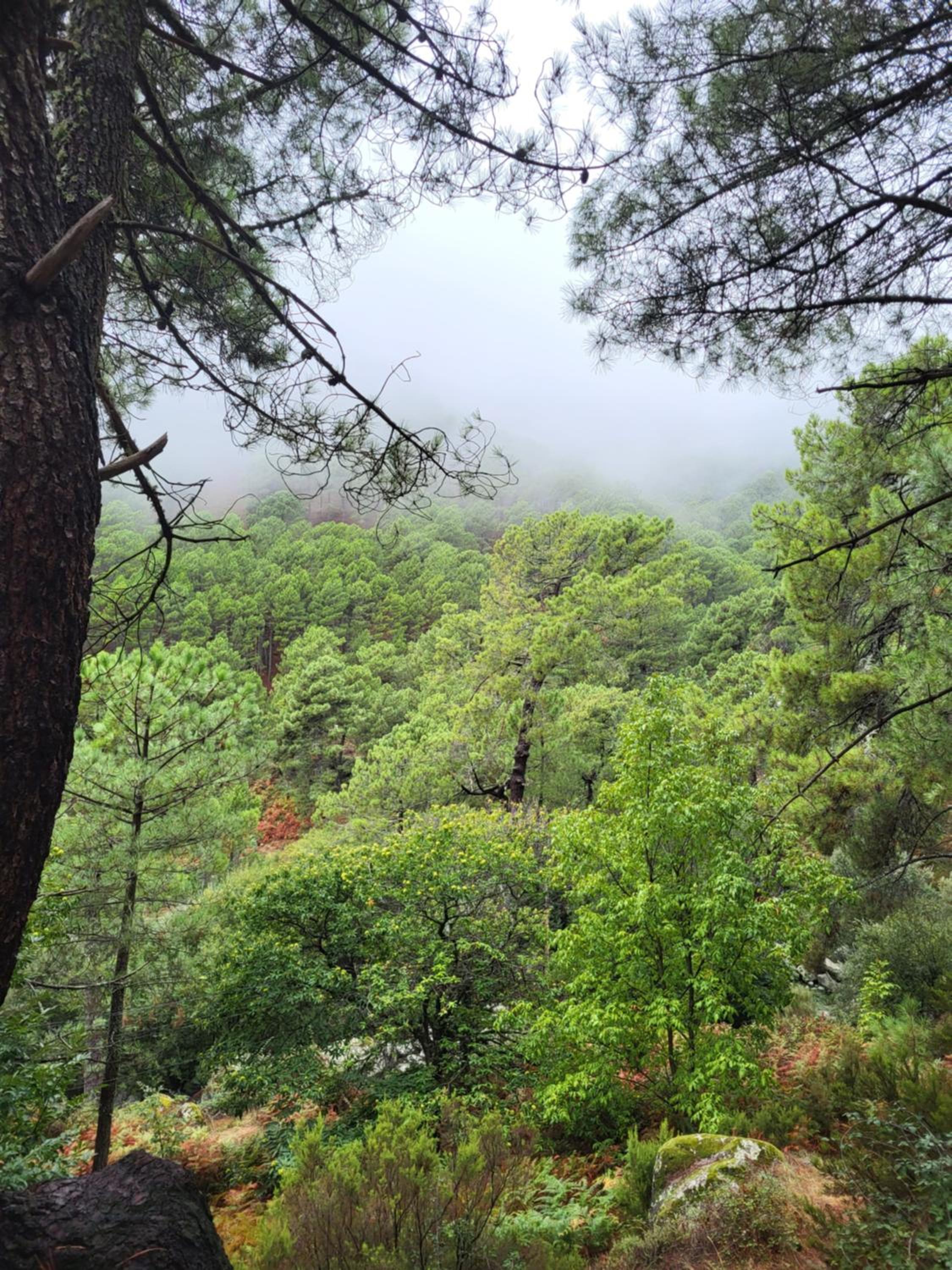 El Refugio de Gredos