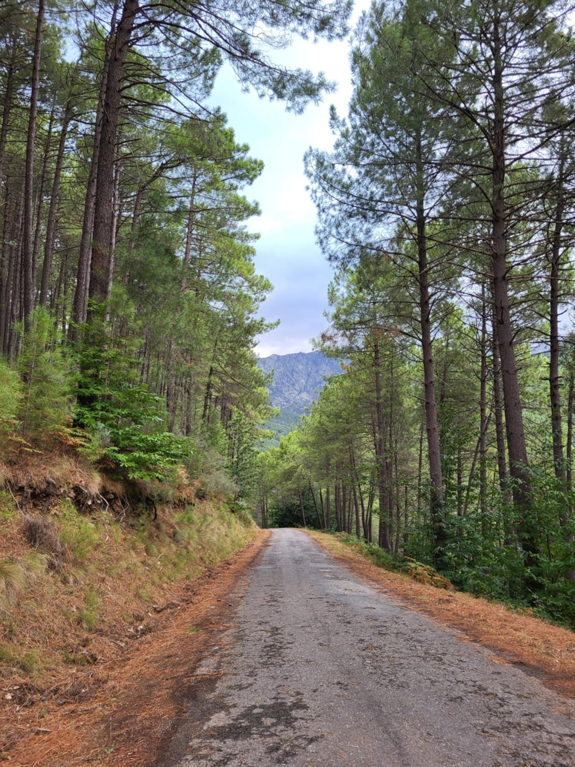 El Refugio de Gredos