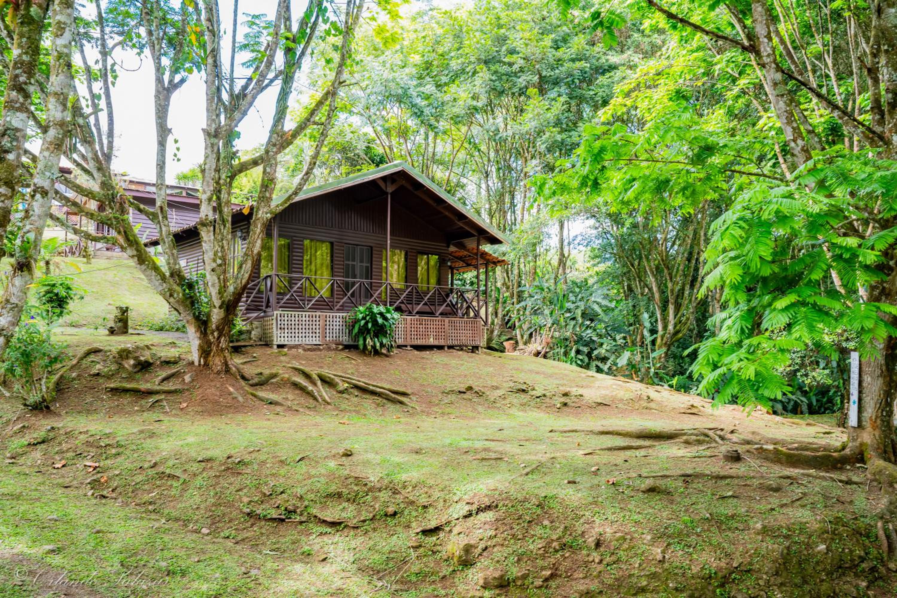 Hospedaje La Naciente