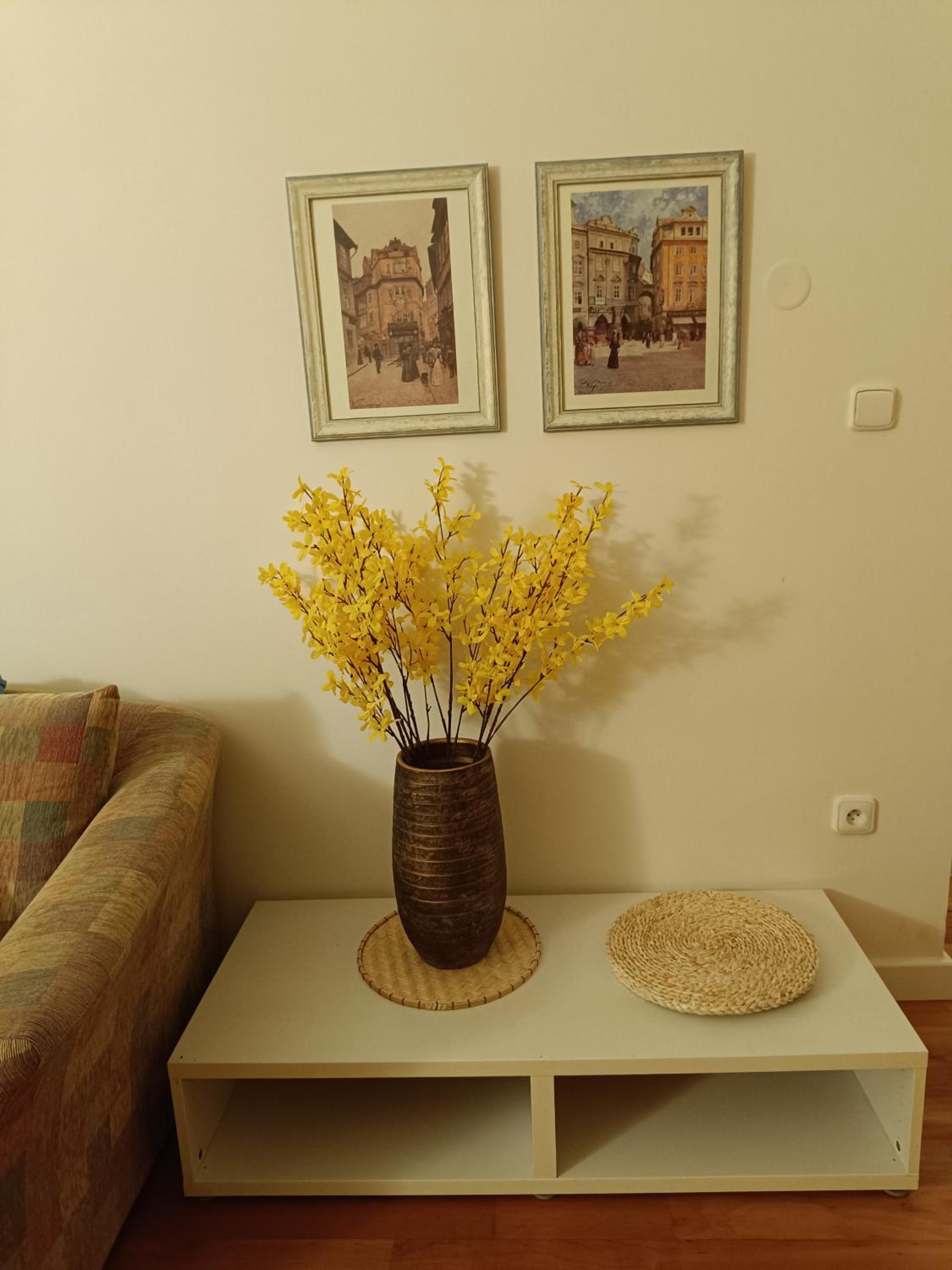 Prague Apartment JanLouis