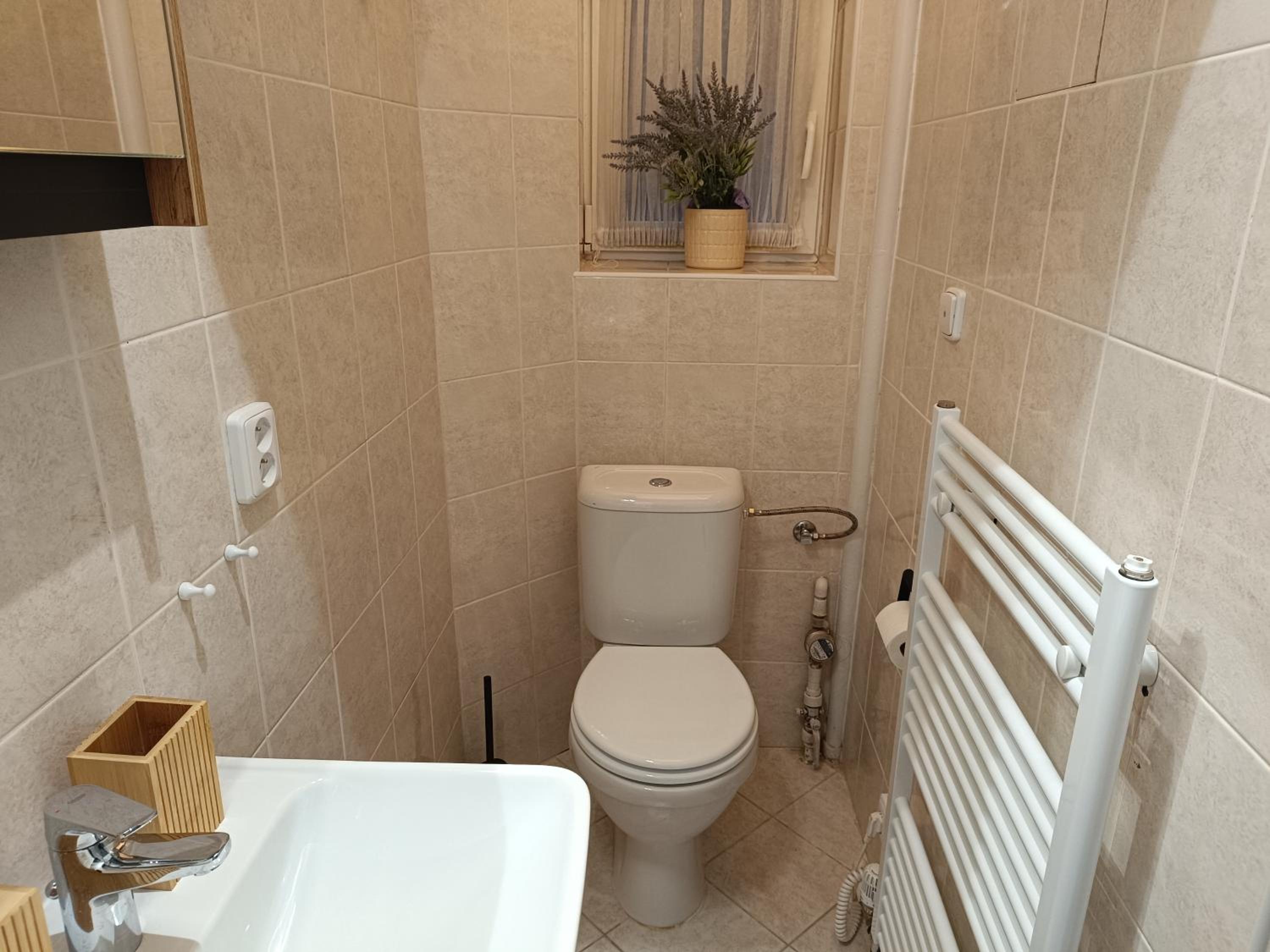 Prague Apartment JanLouis